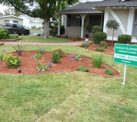 Wild Flower Landscape & Design - Sherman Oaks, CA