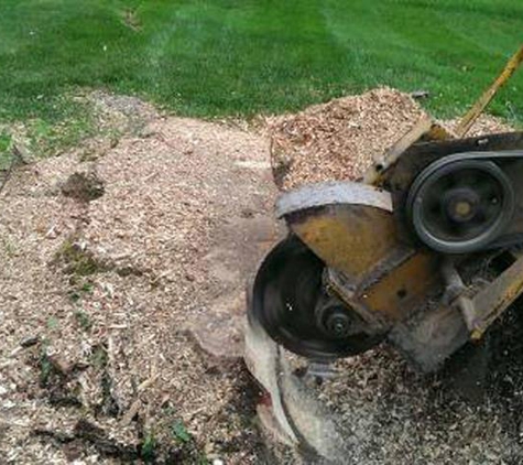 Jessie's Stump Removal & Total Tree Care - Beech Grove, IN