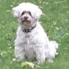 Black River Veterinary Hospital gallery