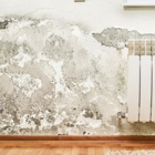 A Pro Home Inspection Services