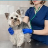 Mililani Town Center Pet Clinic gallery