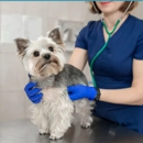 Mililani Town Center Pet Clinic - Veterinarians