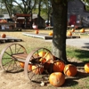 Walden Pumpkin Farm gallery