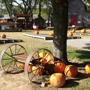 Walden Pumpkin Farm