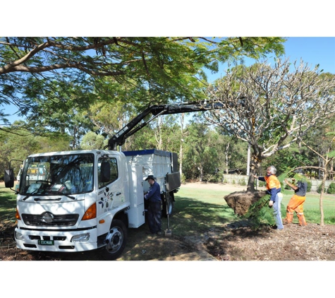 The Tree Doctor (Qld) Pty Ltd - Everton Hills, QLD