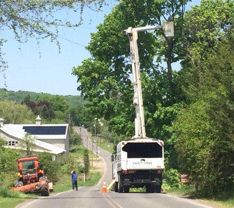 Sweet Tree Service - Hudson, NY