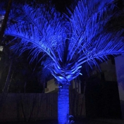 Gallery Image Number 7