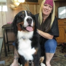 Brenda's K-9 Grooming Salon