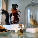 Prey Taxidermy - Taxidermists