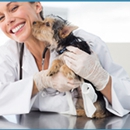 Forever Vets Animal Hospital - Veterinarian Emergency Services