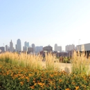 Signature Landscape - Landscape Designers & Consultants