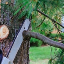 Miguel's Tree Service - Tree Service