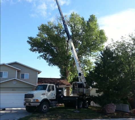 VANDAM'S Tree Service - Salt Lake City, UT