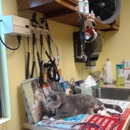 Governors Choice Animal Hospital - Veterinary Clinics & Hospitals
