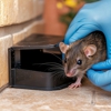 Arlington Exterminating gallery