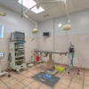 Gandy Animal Hospital - CLOSED gallery