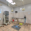 Gandy Animal Hospital - CLOSED - Pet Services