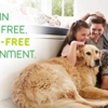 Green Pest Solutions gallery