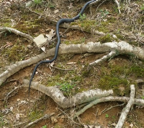 Croydon Creek Nature Center - Rockville, MD