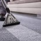 The Carpet Butler