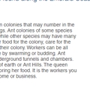 Bryan Pest Control - Pest Control Services