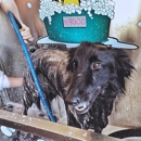 You Dirty Dog DIY Dogwash - Pet Grooming