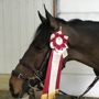 Hudson Equestrian Center Inc-Bochum Farm