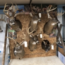 Quiles Taxidermy - Taxidermists