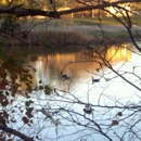 MacArthurs Lake Apartments