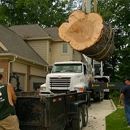 Oakland Tree Service - Tree Service