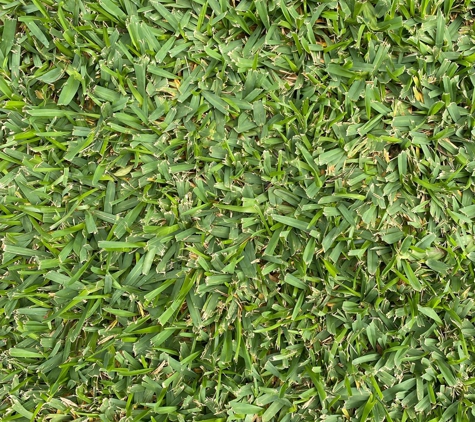 OB Turf - Bolwarra, NSW