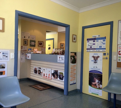 Bankstown Veterinary Hospital - Bankstown, NSW