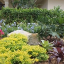 Reef Tropical Pool and Lawn
