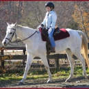 Stonehouse Equestrian, LLC - Horse Training