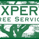 Expert Tree Service - Tree Service