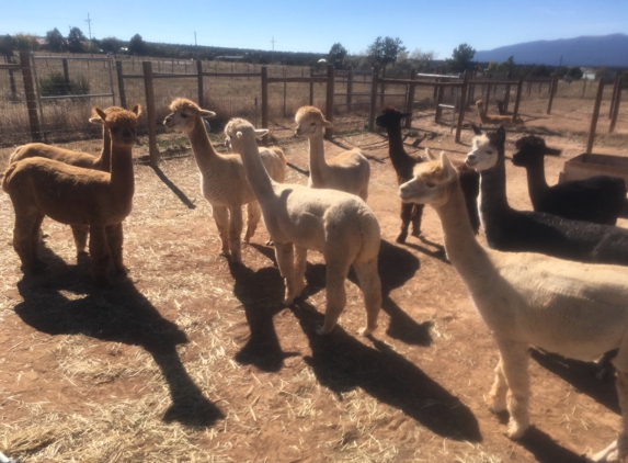 Hollywick Farms - Sandia Park, NM