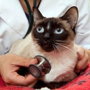 Kershaw Animal Hospital - Veterinarians