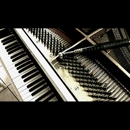 Piano Forte - Pianos & Organ-Tuning, Repair & Restoration