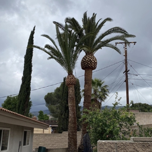 Ed's Tree Services - San Bernardino, CA