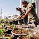 Arbor Valley Nursery - Nursery-Wholesale & Growers