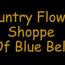 Country Flower Shoppe - Flowers, Plants & Trees-Silk, Dried, Etc.-Retail