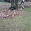 Ortiz Landscaping gallery