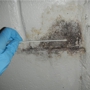 Healthy Home Mold Inspection