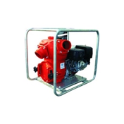 Gallery Image Number 5