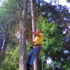 D-Best Tree Care gallery