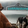 Cobblestone Animal Hospital