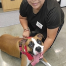 Petco - Pet Services