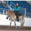 Wright Horse Farm - Horse Training