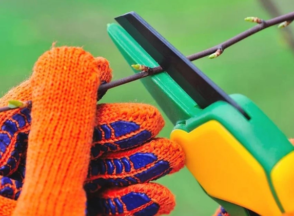 A1 Tree Specialists - Tarleton, TAS