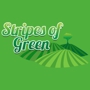 Stripes Of Green